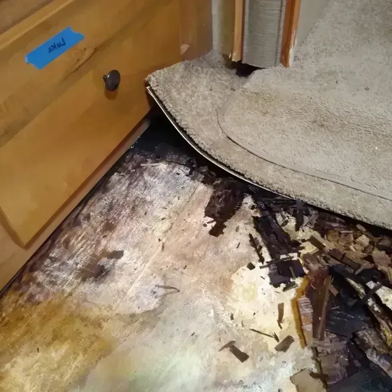 Wood Floor Water Damage in Nixa, MO